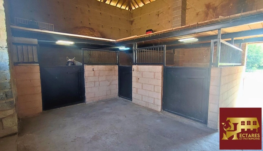 Photos 2 - Equestrian - Maison et 3,6 hectares attenants