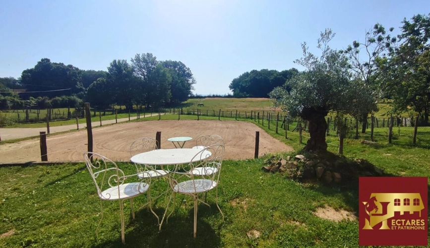 Photos 4 - Equestrian - Maison et 3,6 hectares attenants