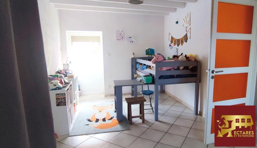 Photos 11 - Equestrian - Maison et 3,6 hectares attenants