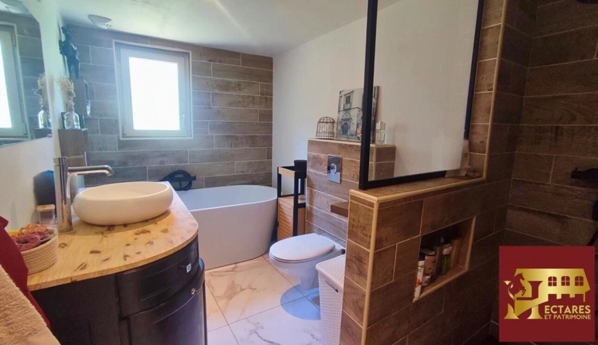 Photos 13 - Equestrian - Maison et 3,6 hectares attenants