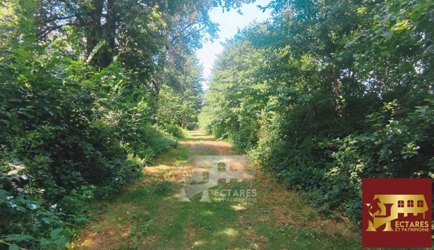 Photos 3 - Forestière - Domaine d'exception coeur Dombes