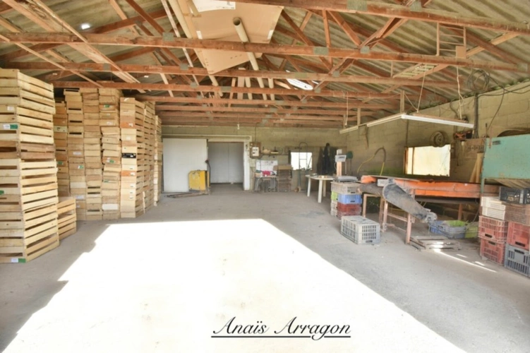 Photos 16 - Agricole - Propriete à vendre 5 pièces SAINT SYLVESTRE SUR LOT (47)