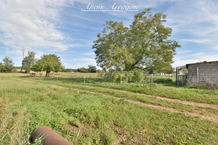 Photos 19 - Agricole - Propriete à vendre 5 pièces SAINT SYLVESTRE SUR LOT (47)