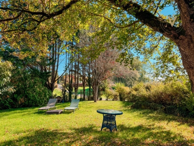 Photos 22 - Équestre - Propriété de prestige avec gîtes et 2 ha de prairie – Charme, calme et potentiel proche de BANEUIL (24)