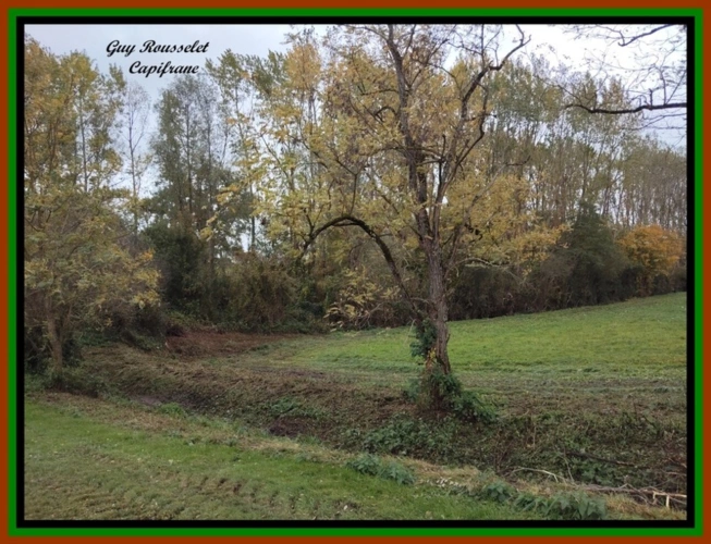 Photos 22 - Touristique - PROPRIETE A VENDRE FAITE D'UNE MAISON, D'UNE GRANGE, D'UN GRAND TERRAIN