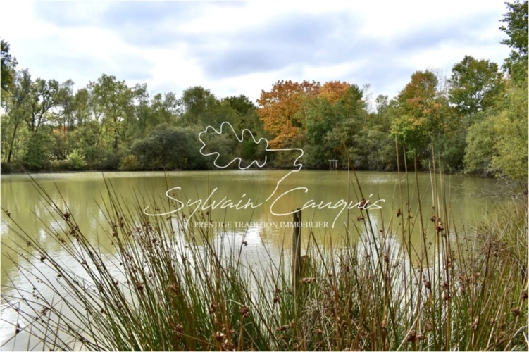 Photos 6 - Forestière - Domaine de Chasse et d'Agrément de 215 hectares en Sologne