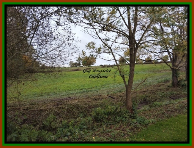 Photos 19 - Touristique - PROPRIETE A VENDRE FAITE D'UNE MAISON, D'UNE GRANGE, D'UN GRAND TERRAIN