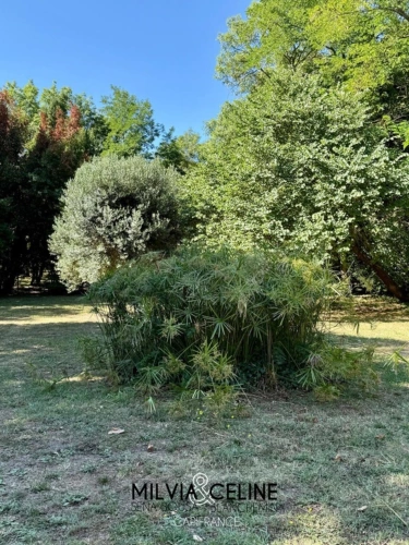 Photos 51 - Touristique - Propriete à vendre 32 pièces proche de CARCASSONNE (11) 2 habitations 522m2+ parc 2,82 hectares + dépendances