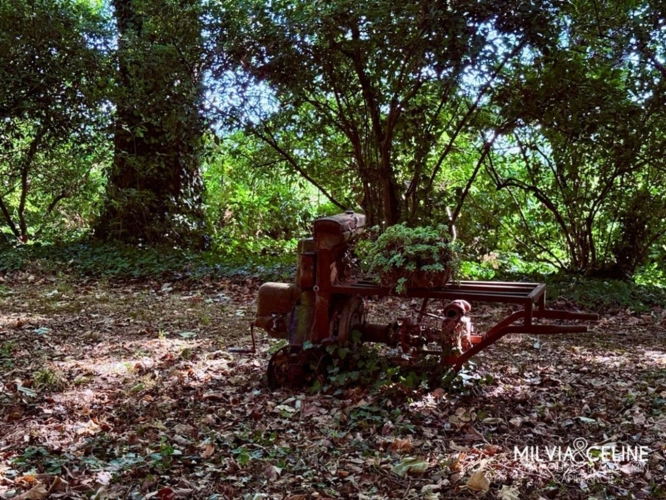 Photos 54 - Touristique - Propriete à vendre 32 pièces proche de CARCASSONNE (11) 2 habitations 522m2+ parc 2,82 hectares + dépendances