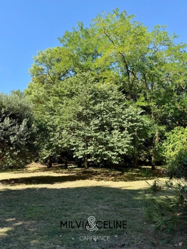 Photos 55 - Touristique - Propriete à vendre 32 pièces proche de CARCASSONNE (11) 2 habitations 522m2+ parc 2,82 hectares + dépendances