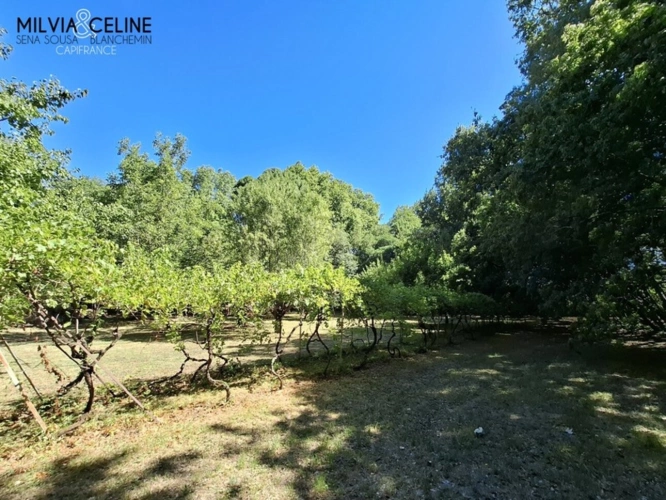 Photos 58 - Touristique - Propriete à vendre 32 pièces proche de CARCASSONNE (11) 2 habitations 522m2+ parc 2,82 hectares + dépendances