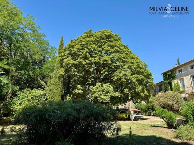 Photos 59 - Touristique - Propriete à vendre 32 pièces proche de CARCASSONNE (11) 2 habitations 522m2+ parc 2,82 hectares + dépendances