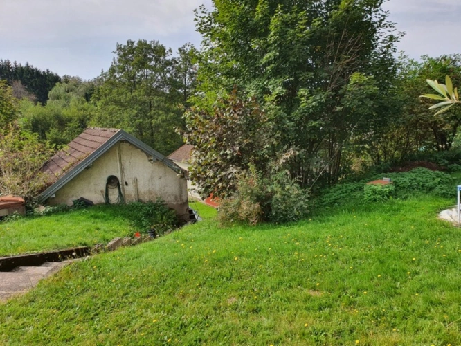 Photos 52 - Tourist - Vosges Department (88), for sale near REMIREMONT - SINGLE-STORY ESTATE ideal GROUP GITE with POND