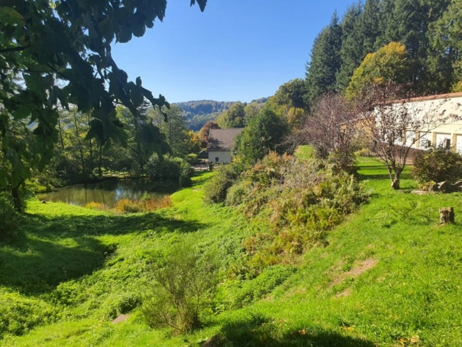 Photos 64 - Tourist - Vosges Department (88), for sale near REMIREMONT - SINGLE-STORY ESTATE ideal GROUP GITE with POND
