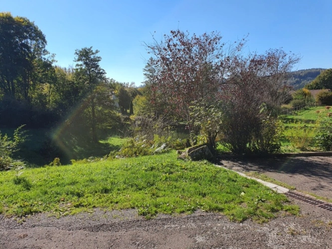 Photos 65 - Tourist - Vosges Department (88), for sale near REMIREMONT - SINGLE-STORY ESTATE ideal GROUP GITE with POND