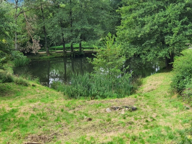 Photos 66 - Tourist - Vosges Department (88), for sale near REMIREMONT - SINGLE-STORY ESTATE ideal GROUP GITE with POND