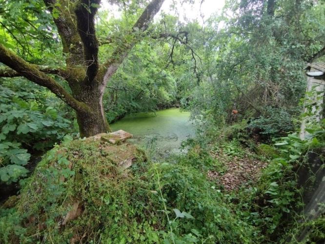 Photos 7 - Tourist - house to build