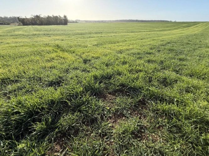Photos 1 - Foncière - Terres agricoles, Produit d'investissement