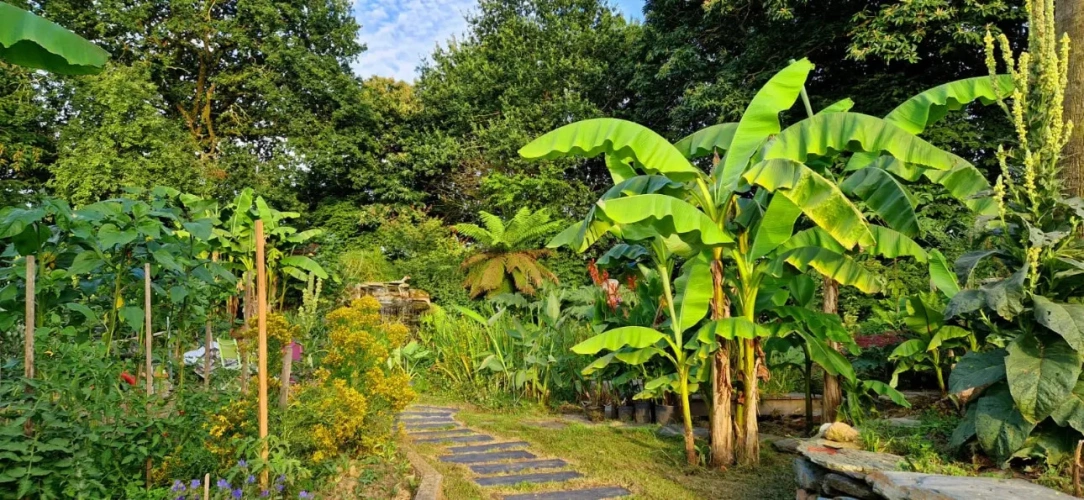 Photos 12 - Tourist - Exceptional estate in the heart of Brittany