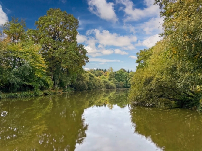 Photos 1 - Forestière - Propriete Gite pour pêcheur à vendre HAMBERS (53)