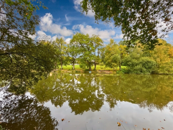 Photos 9 - Forestière - Propriete Gite pour pêcheur à vendre HAMBERS (53)