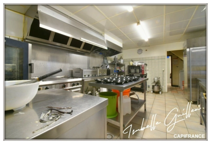 Photos 66 - Touristique - Propriéte à vendre 3 pièces NERIS LES BAINS (03)