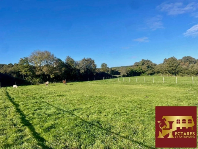 Photos 4 - Équestre - Propriété équestre, Maison 130 M2, 2 hectares, boxes et carrières