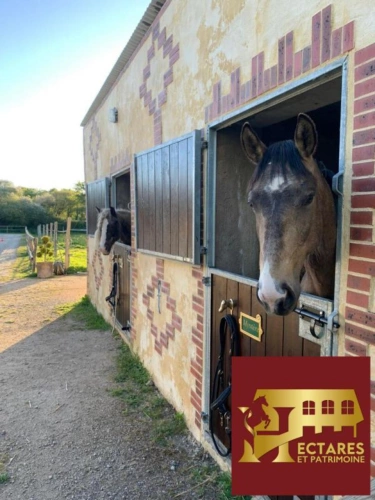 Photos 12 - Équestre - Propriété équestre, Maison 130 M2, 2 hectares, boxes et carrières