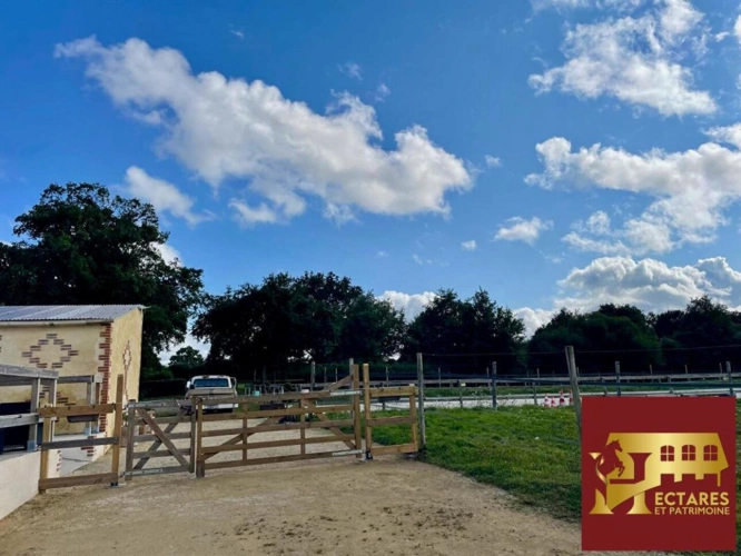 Photos 14 - Équestre - Propriété équestre, Maison 130 M2, 2 hectares, boxes et carrières