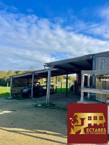 Photos 16 - Équestre - Propriété équestre, Maison 130 M2, 2 hectares, boxes et carrières