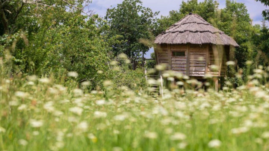 Photos 3 - Équestre - Gers : quand authenticité, nature et singularité se rencontrent…