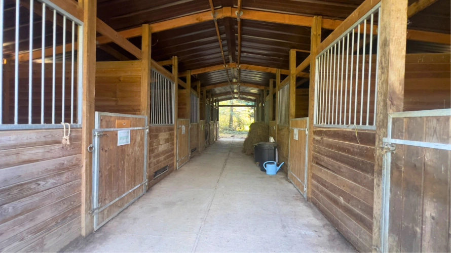 Photos 8 - Équestre - Gers : quand authenticité, nature et singularité se rencontrent…