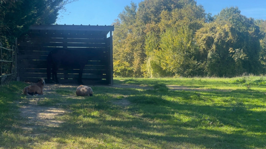 Photos 9 - Équestre - Gers : quand authenticité, nature et singularité se rencontrent…