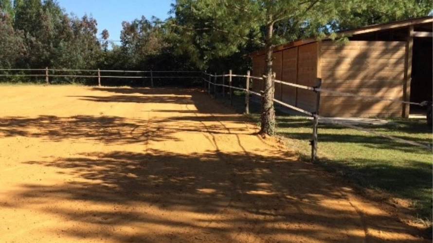 Photos 10 - Équestre - Gers : quand authenticité, nature et singularité se rencontrent…