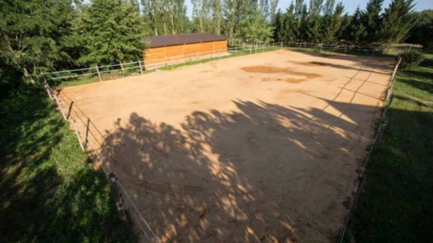 Photos 11 - Équestre - Gers : quand authenticité, nature et singularité se rencontrent…