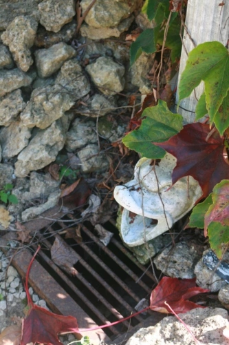 Photos 77 - Prestige - Dpt Gers (32), à vendre NOGARO et EAUZE proche, TRES ELEGANTE PROPRIETE  RURALE  sur 4.5 hectares, MAISON de MAITRE, GITE, deux piscines neuves, parc séculaire, SANS NUISANCE