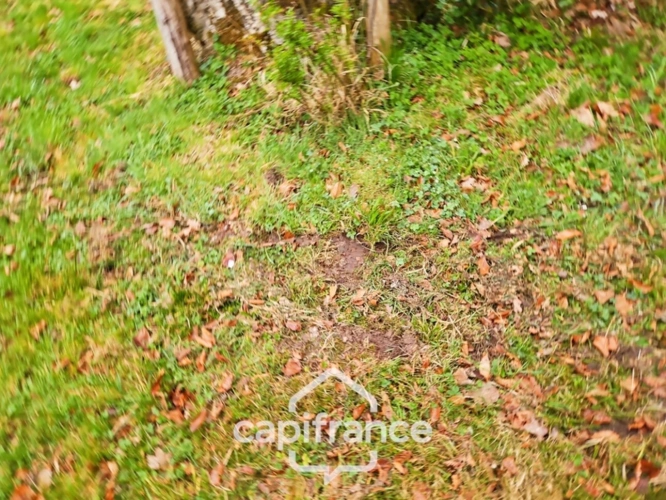 Photos 7 - Forestière - Là où l’eau, la pierre et la forêt se rejoignent, un domaine d’exception s’offre à vous : 9 hectares de nature préservée et de mémoire vivante, à transmettre et à faire revivre