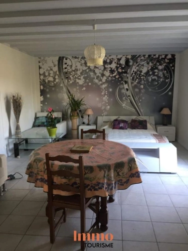 Photos 11 - Touristique - Demeure en pierres avec piscine et deux gîtes en Saintonge giro