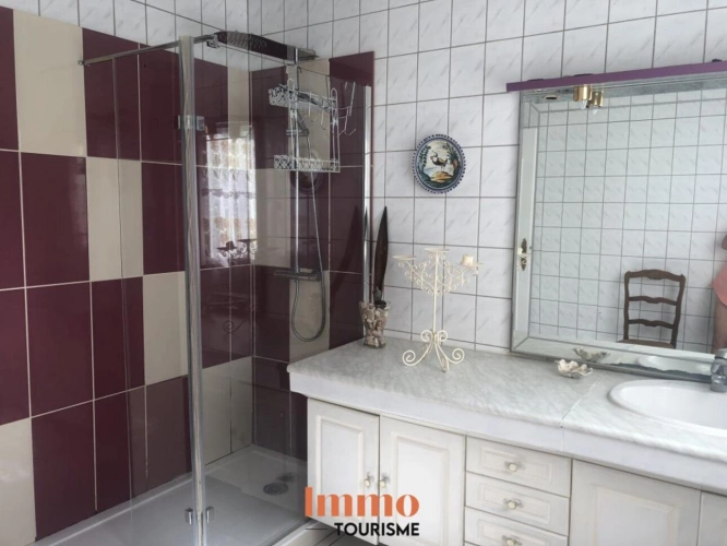 Photos 13 - Touristique - Demeure en pierres avec piscine et deux gîtes en Saintonge giro