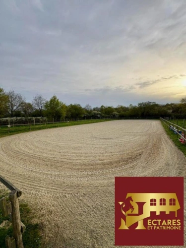 Photos 4 - Équestre - Propriété équestre, Maison 130 M2, 2 hectares, boxes et carrières