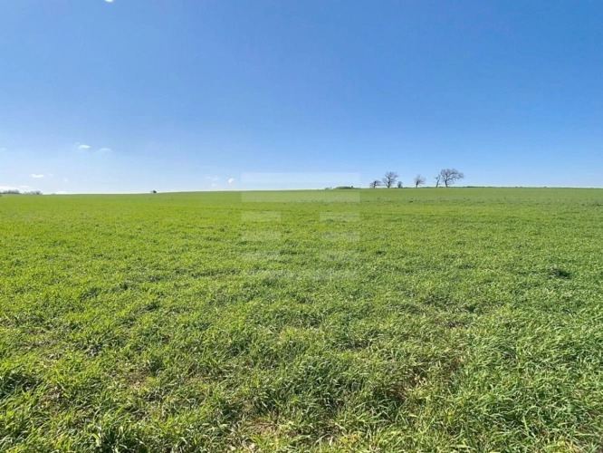 Photos 3 - Foncière - Terrain agricole