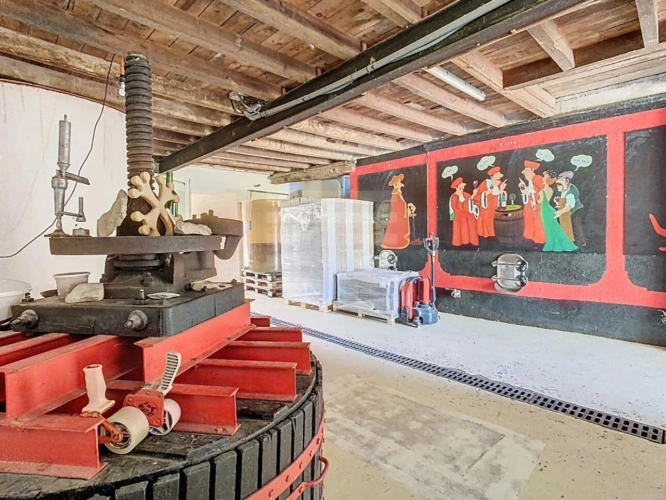 Photos 7 - Viticole - Propriété viticole