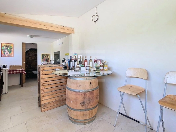 Photos 9 - Viticole - Propriété viticole