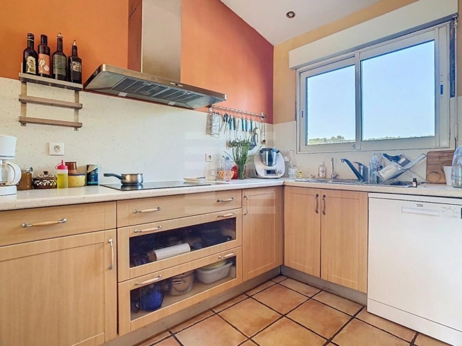 Photos 11 - Viticole - Propriété viticole