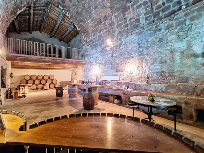 Photos 8 - Viticole - Propriété viticole