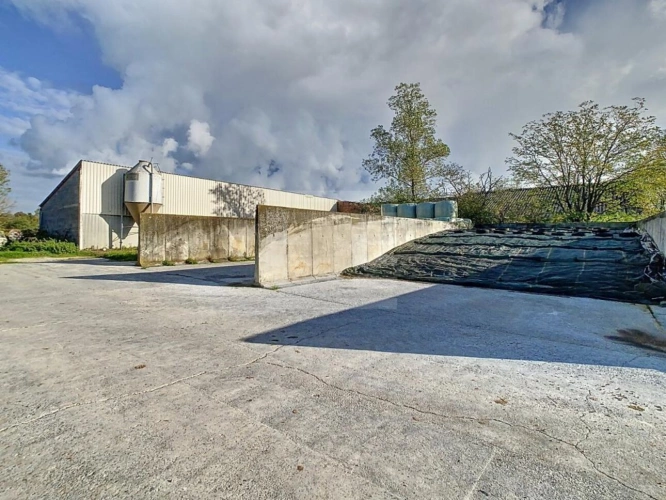 Photos 8 - Agricole - Bovine