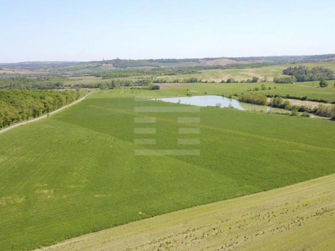 Photos 2 - Prestige - Propriété agricole