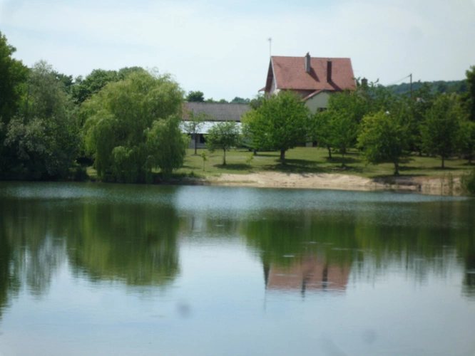 Photos 5 - Prestige - Chassemy (02) à vendre superbe propriété de 320 m2 sur un terrain  clos de 5 ha avec étang de 2 ha