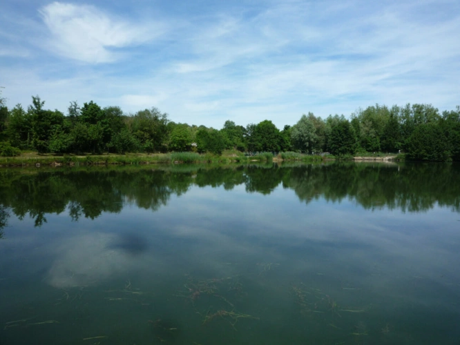 Photos 14 - Prestige - Chassemy (02) à vendre superbe propriété de 320 m2 sur un terrain  clos de 5 ha avec étang de 2 ha