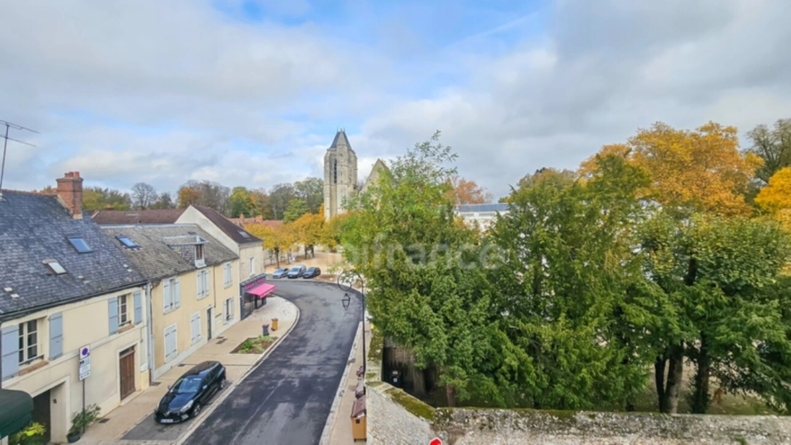 Photos 26 - Prestige - Propriété à vendre 10 pièces sur terrain clos de murs en pierre MORIGNY CHAMPIGNY (91)